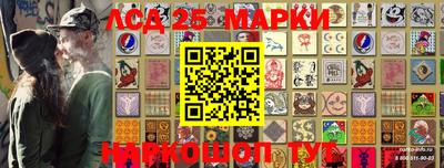 a pvp Свободный