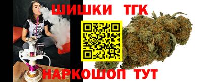 гидропоника Славгород