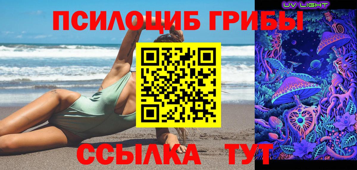 Новосибирск  где купить   Вход с VPN  Псилоцибиновые грибы MAGIC MUSHROOMS 