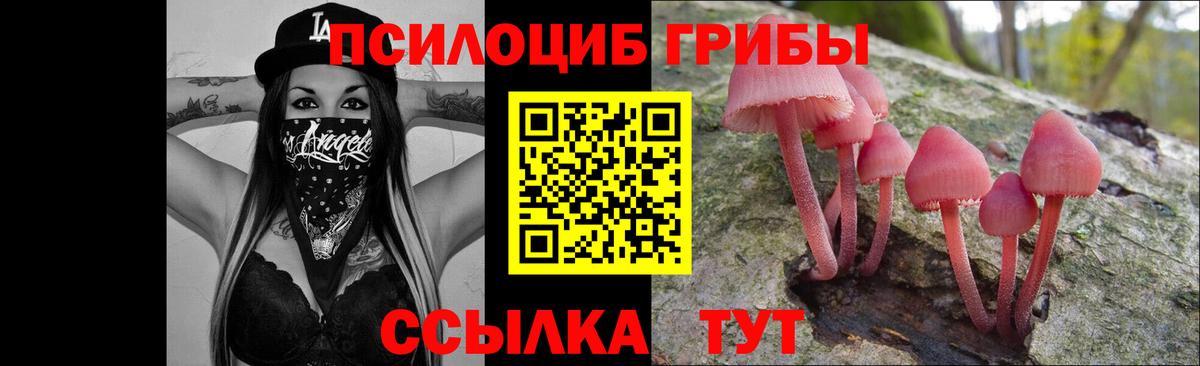 Псилоцибиновые грибы прущие грибы Новосибирск